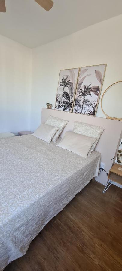 Maison De Ville Au Bord Du Lez, 170M2 Cosy. Bollène Eksteriør bilde